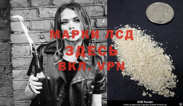 spice Беломорск