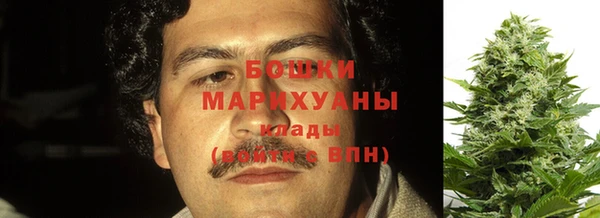 ешки Белокуриха