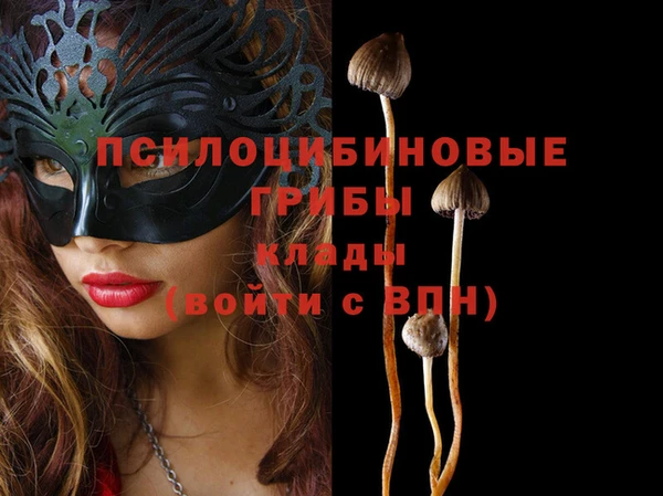 ешки Белоозёрский
